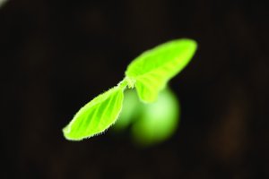 一文说清数据分析的技术架构